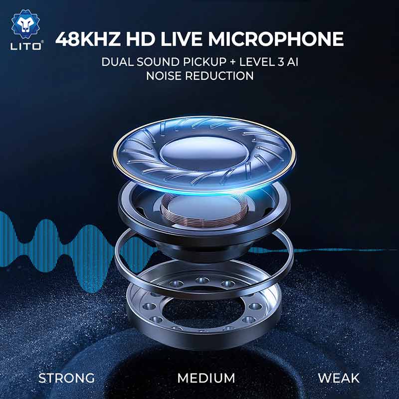 professional wireless microphone